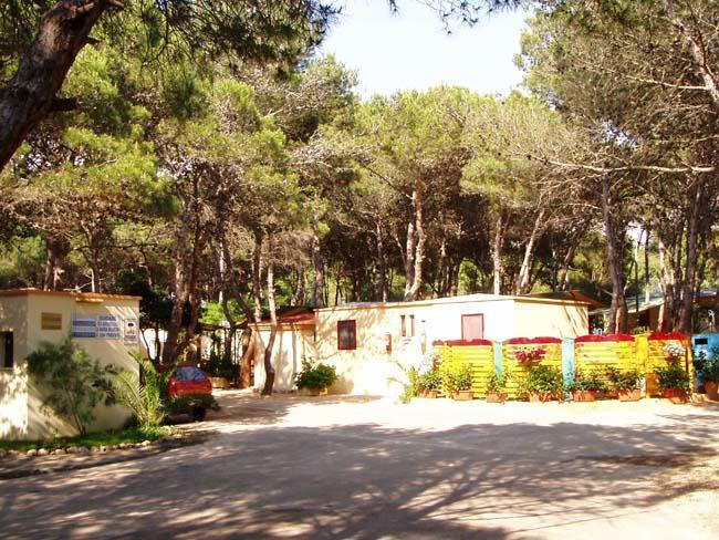 Holiday park Camping La Vecchia Torre 3*