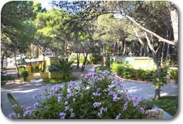 Ferienpark Camping La Vecchia Torre 3*