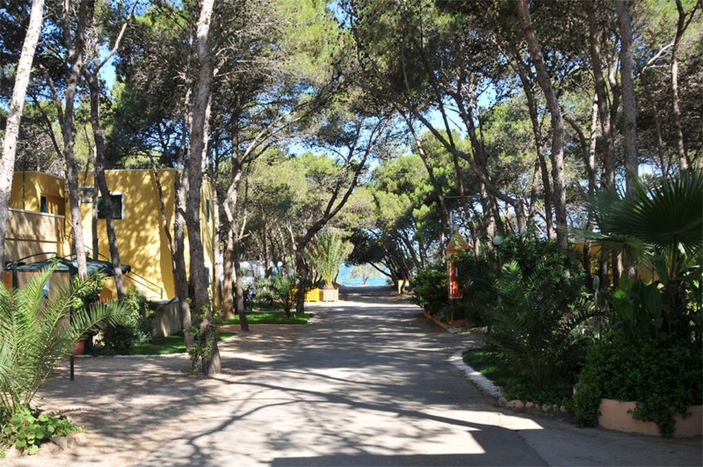 Camping La Vecchia Torre Gallipoli