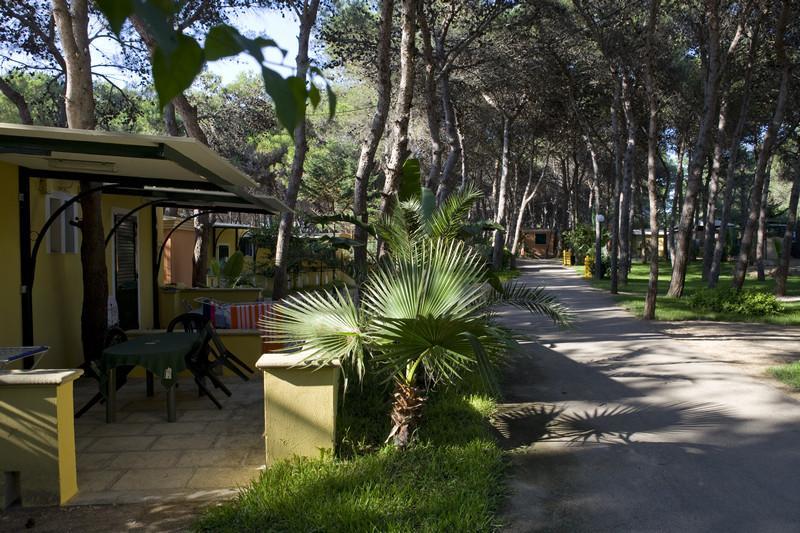 Camping La Vecchia Torre 3* Gallipoli